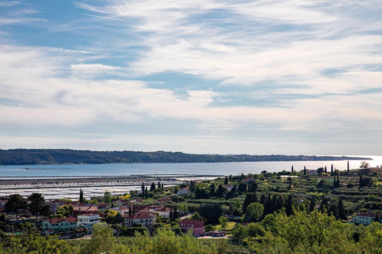 Larabella Salt Fields View Studio Порторож Екстер'єр фото